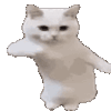 mitessjDANCECAT