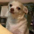 xkiphu6 emote