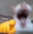 xkiphu7 emote