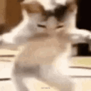 team_wolf1 emote