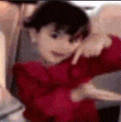 team_wolf5 emote