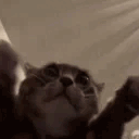 qixsoCLAP emote