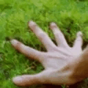 qixsoTOUCHGRASS emote
