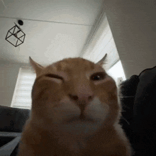 duduklutencerekapagisikenKedy