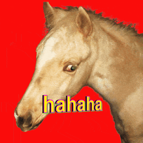 mooseLOL2 emote