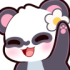 daisykshi