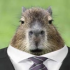 gabepeixecapivara emote