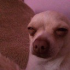 idiori4a emote