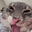 jonpillsxddd emote