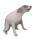 saifhkdan