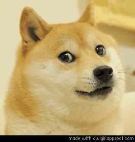 hasoniiqi emote
