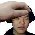 alewangPET emote