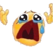 alewangNOOO emote