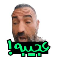 alizelzeleAJIBE twitch emote
