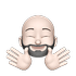 captsparro0owhug twitch emote