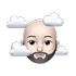 captsparro0owhide twitch emote