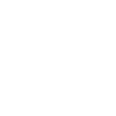 amirslrridi twitch emote