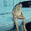 amir_vhtChiling twitch emote