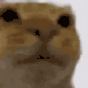 amir_vhtAwkward twitch emote