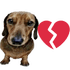 amir_vhtidiot twitch emote