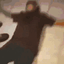 amir_vhtWAKEUP twitch emote