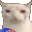 mitessjGATOPALOMITAS
