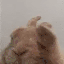dunndunVIBE emote