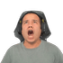 fat10GOOOLPELADO emote