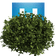 serwinterbush emote