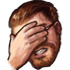 serwinterfacepalm emote