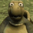 baltihein emote
