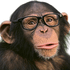 abzouabzou5 emote