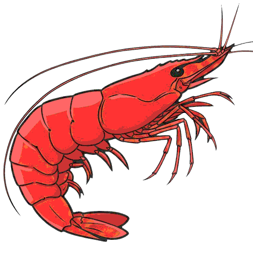 abzouabzou11 emote