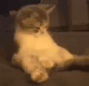 clashwithmrmillsKok twitch emote