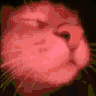 clashwithmrmillsCatdance twitch emote