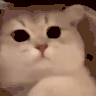 clashwithmrmillsLove twitch emote