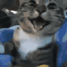 clashwithmrmillsd twitch emote