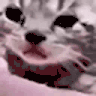 clashwithmrmillsSadCat twitch emote