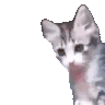 clashwithmrmillsyo twitch emote