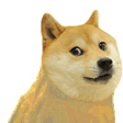 jezzoneperro