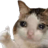 teufcatcry emote