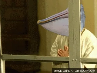 pelicangerpelicano emote