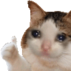 1willowisp1kediparmak emote