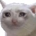 1willowisp1aglayankedi emote