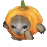 emmypumpkinKOOOS