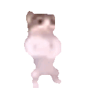 smalljeffbaile