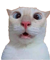 ulvgusbennealakaguss