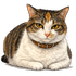 carculturecolombiaGoda emote