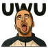 carculturecolombiaUwU emote