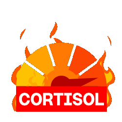 highCortisol